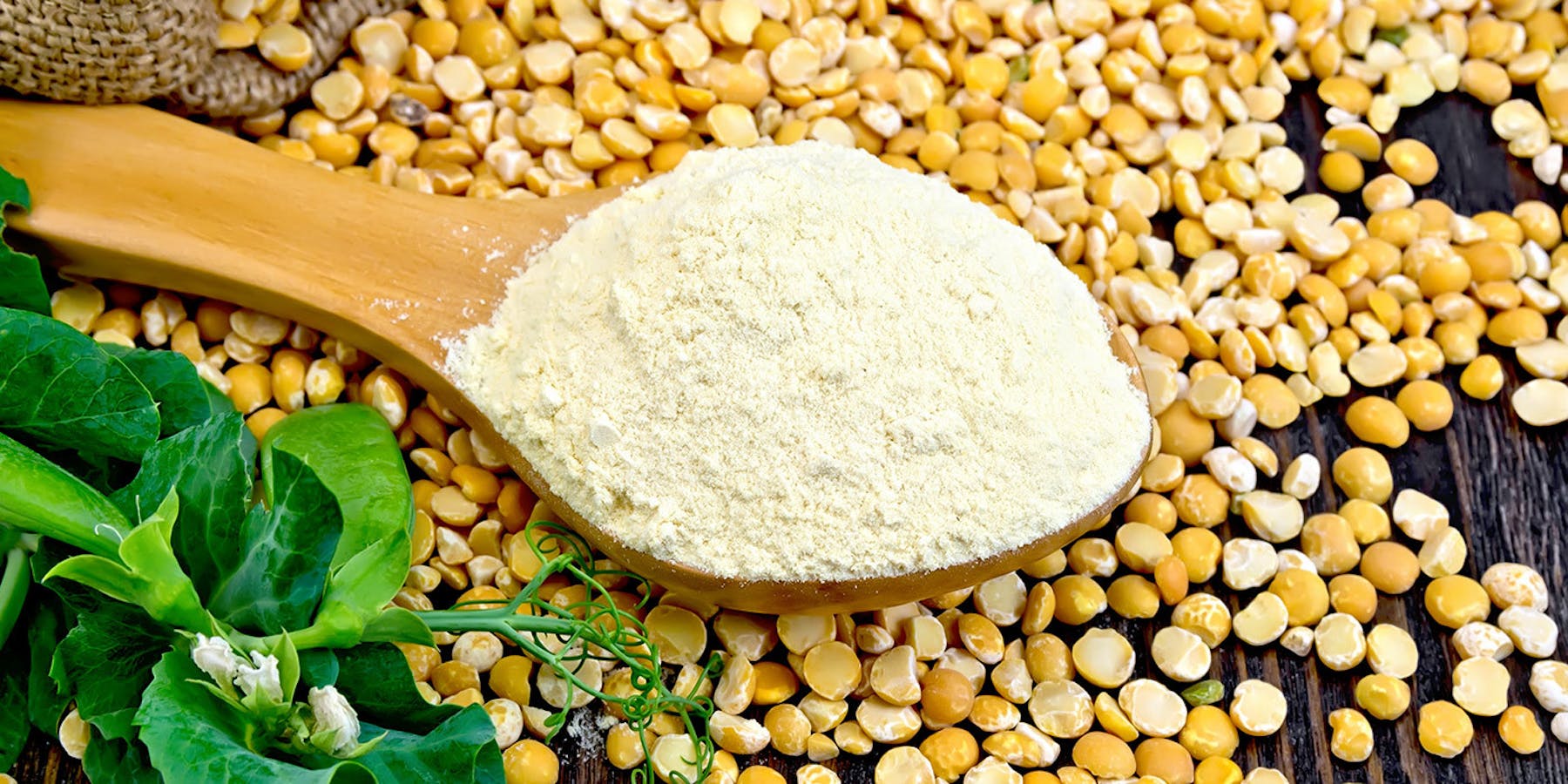 Plant-Based Protein: Health and Environmental Benefits, Plus Tips